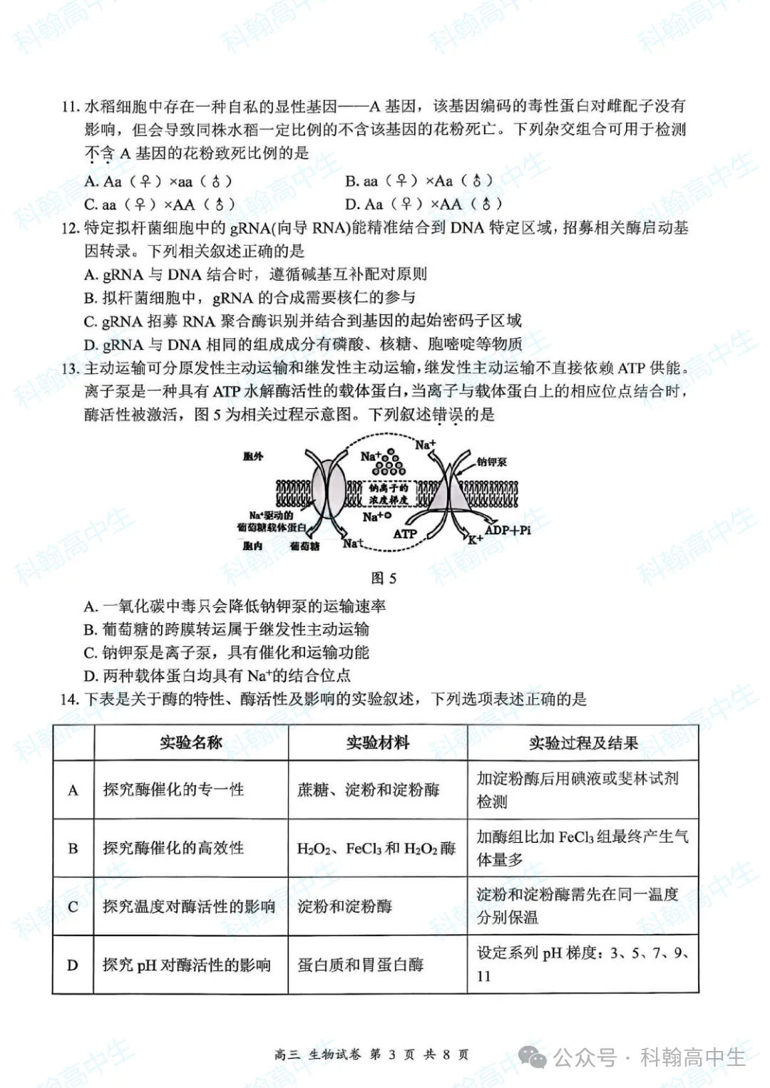 9科齐全!2027届罗湖区高三9月第一次模拟考试卷+答案!-第81张图片-四季读书网 9科齐全!2027届罗湖区高三9月第一次模拟考试卷+答案!-第81张图片-四季读书网