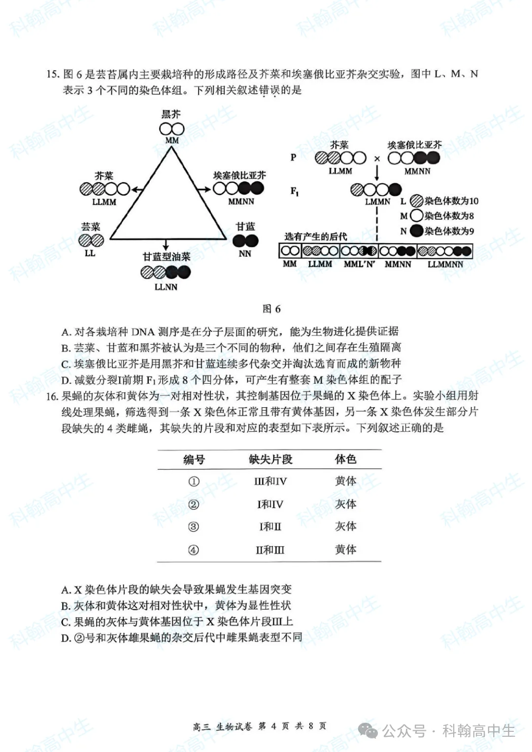 9科齐全!2027届罗湖区高三9月第一次模拟考试卷+答案!-第82张图片-四季读书网 9科齐全!2027届罗湖区高三9月第一次模拟考试卷+答案!-第82张图片-四季读书网