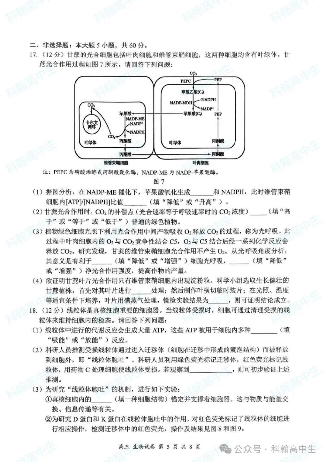 9科齐全!2027届罗湖区高三9月第一次模拟考试卷+答案!-第83张图片-四季读书网 9科齐全!2027届罗湖区高三9月第一次模拟考试卷+答案!-第83张图片-四季读书网