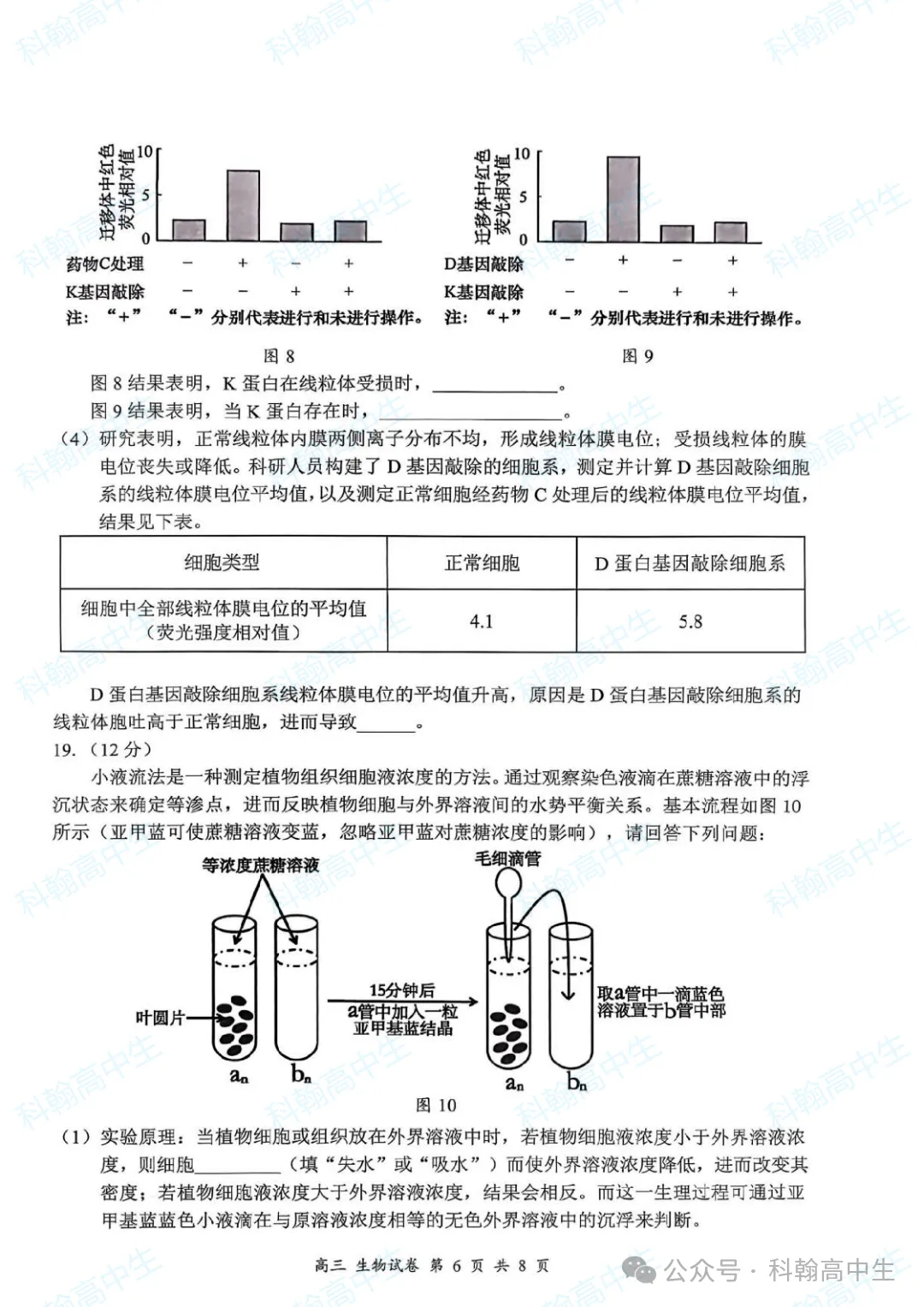 9科齐全!2027届罗湖区高三9月第一次模拟考试卷+答案!-第84张图片-四季读书网 9科齐全!2027届罗湖区高三9月第一次模拟考试卷+答案!-第84张图片-四季读书网