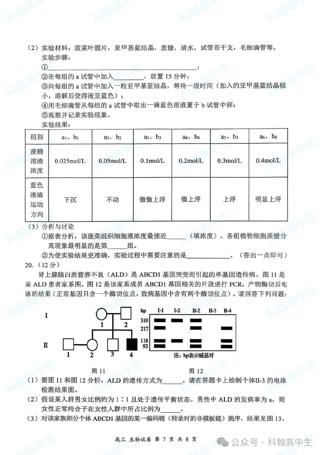 9科齐全!2027届罗湖区高三9月第一次模拟考试卷+答案!-第85张图片-四季读书网 9科齐全!2027届罗湖区高三9月第一次模拟考试卷+答案!-第85张图片-四季读书网