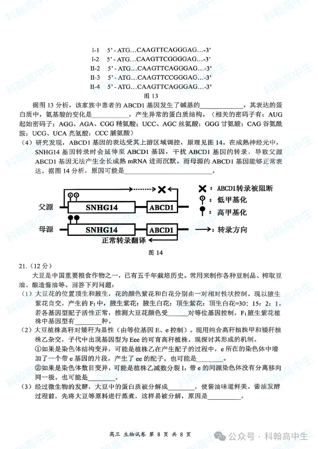 9科齐全!2027届罗湖区高三9月第一次模拟考试卷+答案!-第86张图片-四季读书网 9科齐全!2027届罗湖区高三9月第一次模拟考试卷+答案!-第86张图片-四季读书网