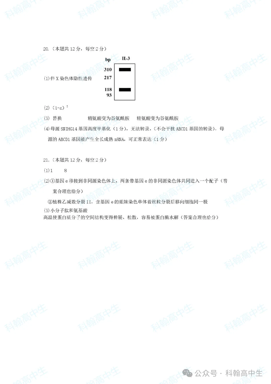 9科齐全!2027届罗湖区高三9月第一次模拟考试卷+答案!-第88张图片-四季读书网 9科齐全!2027届罗湖区高三9月第一次模拟考试卷+答案!-第88张图片-四季读书网