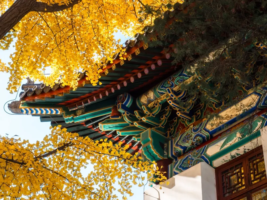 真题刷透,考研数学到底能考多少分?-第5张图片-四季读书网 真题刷透,考研数学到底能考多少分?-第5张图片-四季读书网