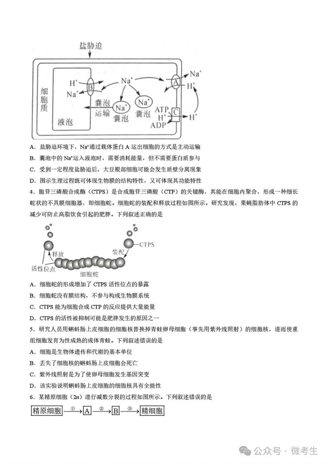 天壹名校联盟高三10月质量检测全科试卷与答案-第35张图片-四季读书网 天壹名校联盟高三10月质量检测全科试卷与答案-第35张图片-四季读书网