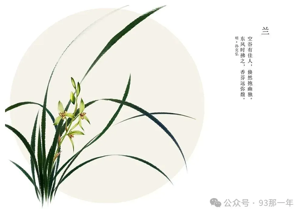 2027届高考语文一轮复习小卷(13)-第1张图片-四季读书网 2027届高考语文一轮复习小卷(13)-第1张图片-四季读书网
