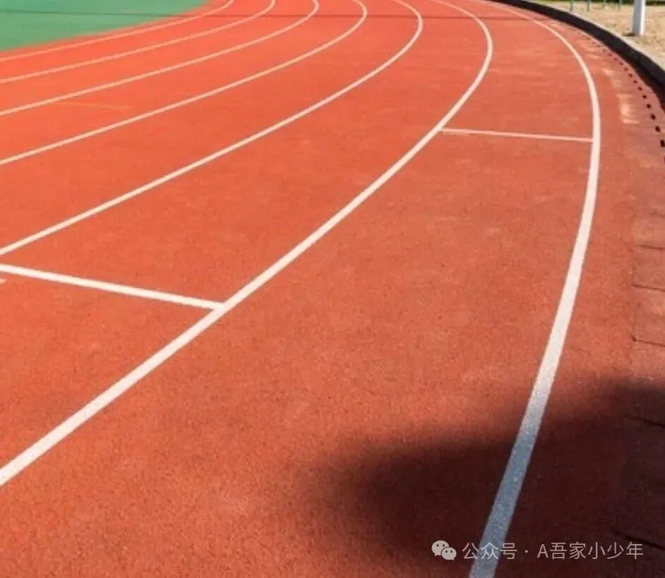 被老师劝退中考、还建议测智商的孩子,如今逆袭不输985-第2张图片-四季读书网