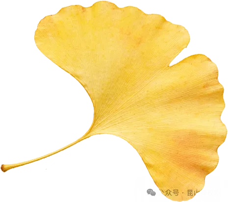择校不烧心!吃透一所初中的中考成绩,至少分清5组数据!-第7张图片-四季读书网