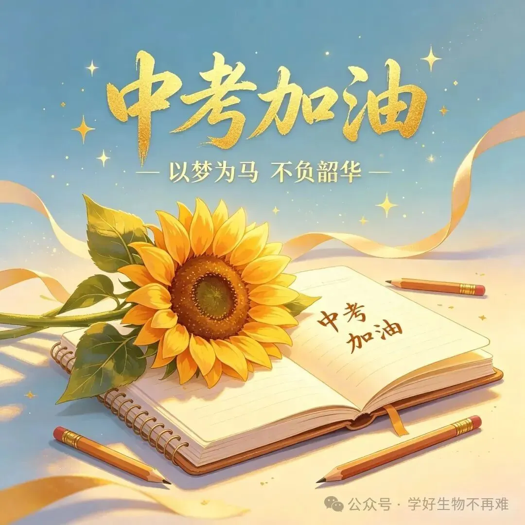 中考生物最难遗传题!吃透这篇,考试从此不丢分-第4张图片-四季读书网 中考生物最难遗传题!吃透这篇,考试从此不丢分-第4张图片-四季读书网