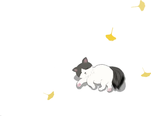 初二男孩,到底是“管”还是“不管”?先别急着二选一-第16张图片-四季读书网 初二男孩,到底是“管”还是“不管”?先别急着二选一-第16张图片-四季读书网