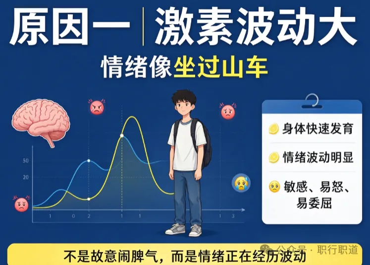 初二,为什么是青春期情绪高发期?中职家长更要留心-第7张图片-四季读书网 初二,为什么是青春期情绪高发期?中职家长更要留心-第7张图片-四季读书网