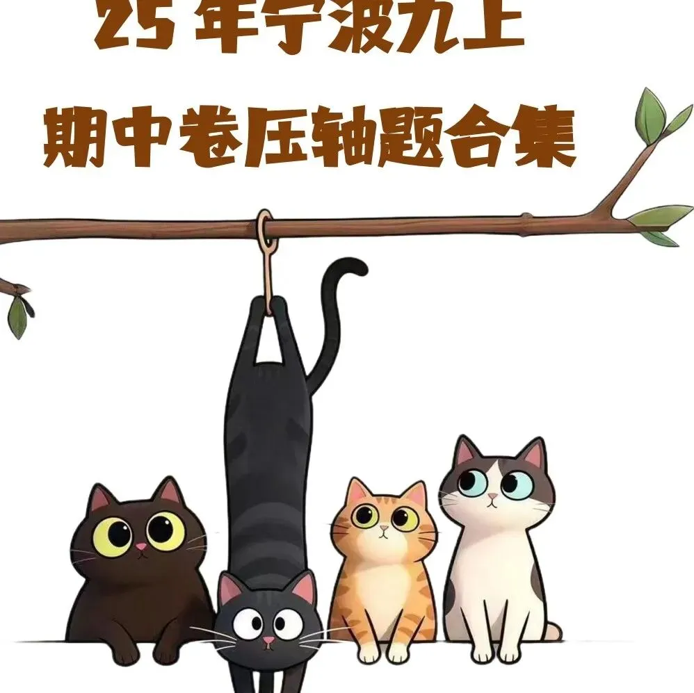 初三上社会必考专题1:26年9-10月考社会卷合集(含真题卷/选择题/解答题汇编)-第54张图片-四季读书网