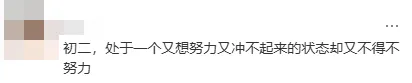 初一、初二、初三,哪一年难熬?看看孩子们怎么说?-第13张图片-四季读书网