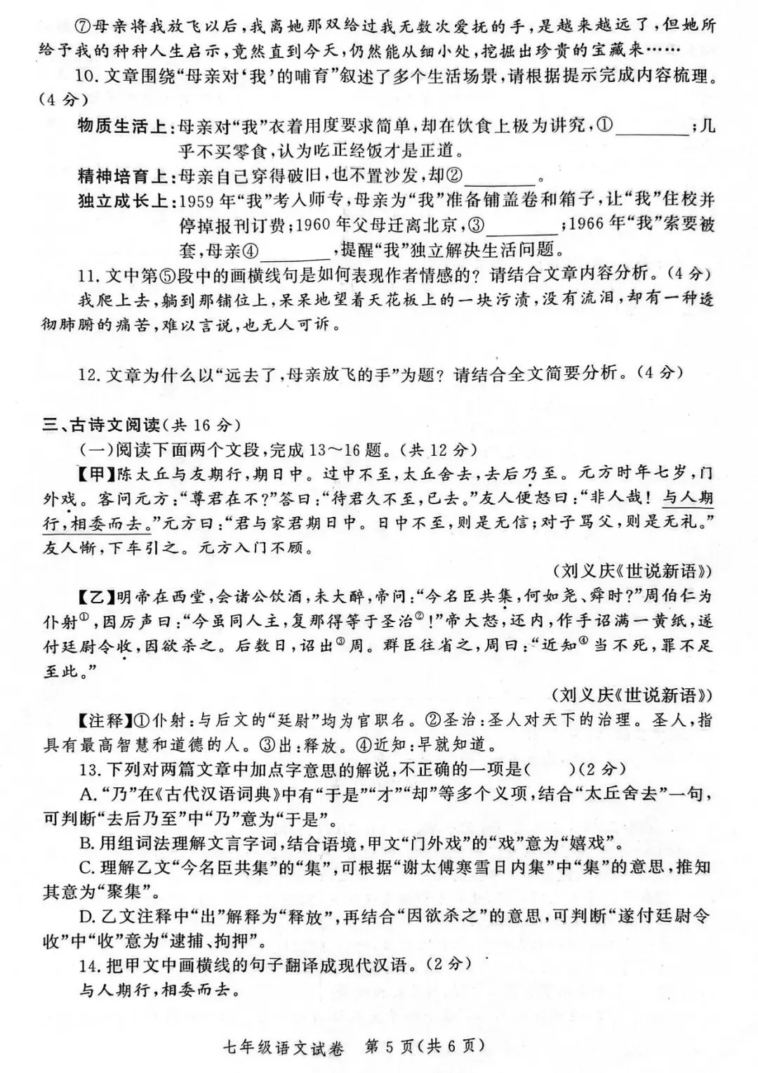 【期中真题】郑州市九校联考2025-2026学年七年级上学期期中考试(语数英道史)试题及参考答案-第20张图片-四季读书网 【期中真题】郑州市九校联考2025-2026学年七年级上学期期中考试(语数英道史)试题及参考答案-第20张图片-四季读书网