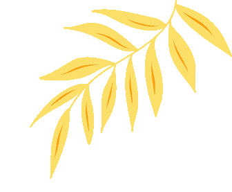 名师领航赋能高考 精准施策共育英才——开侨中学举办2026年名师大讲堂暨高三英语备考专题讲座-第3张图片-四季读书网 名师领航赋能高考 精准施策共育英才——开侨中学举办2026年名师大讲堂暨高三英语备考专题讲座-第3张图片-四季读书网