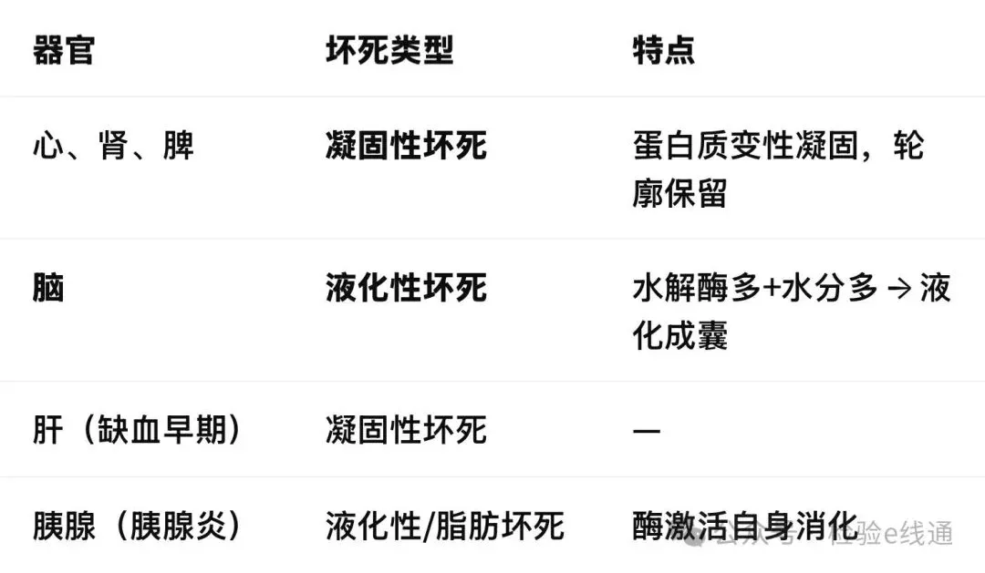 2026医学基础知识真题(10月27日)-第1张图片-四季读书网