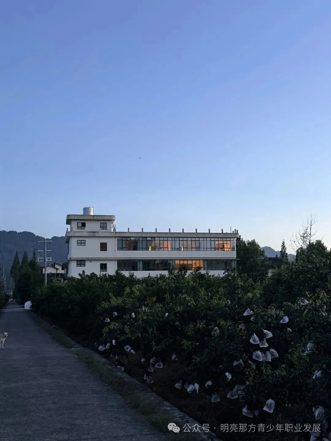 如果不参加高考,孩子还有什么人生路可走?|创新职校-第35张图片-四季读书网 如果不参加高考,孩子还有什么人生路可走?|创新职校-第35张图片-四季读书网