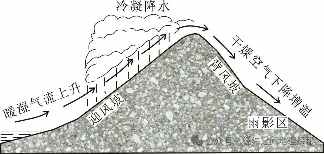 【高考地理】露点温度-第3张图片-四季读书网 【高考地理】露点温度-第3张图片-四季读书网