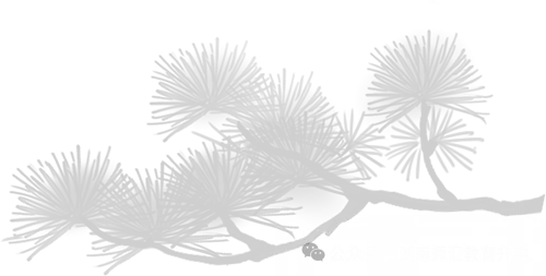 急转家长:湖南高考报名28号有个隐藏红线,比截止日还早2天-第1张图片-四季读书网 急转家长:湖南高考报名28号有个隐藏红线,比截止日还早2天-第1张图片-四季读书网