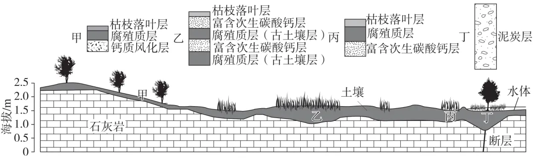 高考真题 | 2026年高考地理山东卷(附参考答案)-第5张图片-四季读书网 高考真题 | 2026年高考地理山东卷(附参考答案)-第5张图片-四季读书网