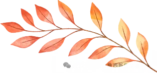 试卷上的专属勋章——华蕾小学精细化批改-第10张图片-四季读书网 试卷上的专属勋章——华蕾小学精细化批改-第10张图片-四季读书网
