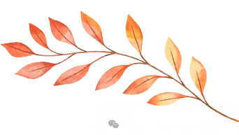 试卷上的专属勋章——华蕾小学精细化批改-第14张图片-四季读书网 试卷上的专属勋章——华蕾小学精细化批改-第14张图片-四季读书网