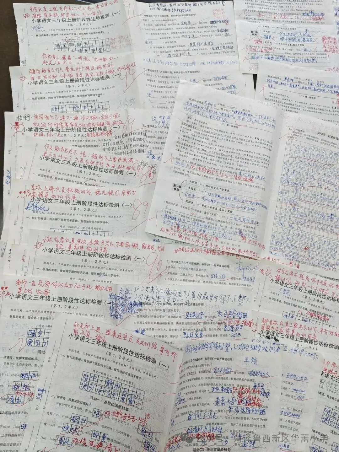 试卷上的专属勋章——华蕾小学精细化批改-第36张图片-四季读书网 试卷上的专属勋章——华蕾小学精细化批改-第36张图片-四季读书网