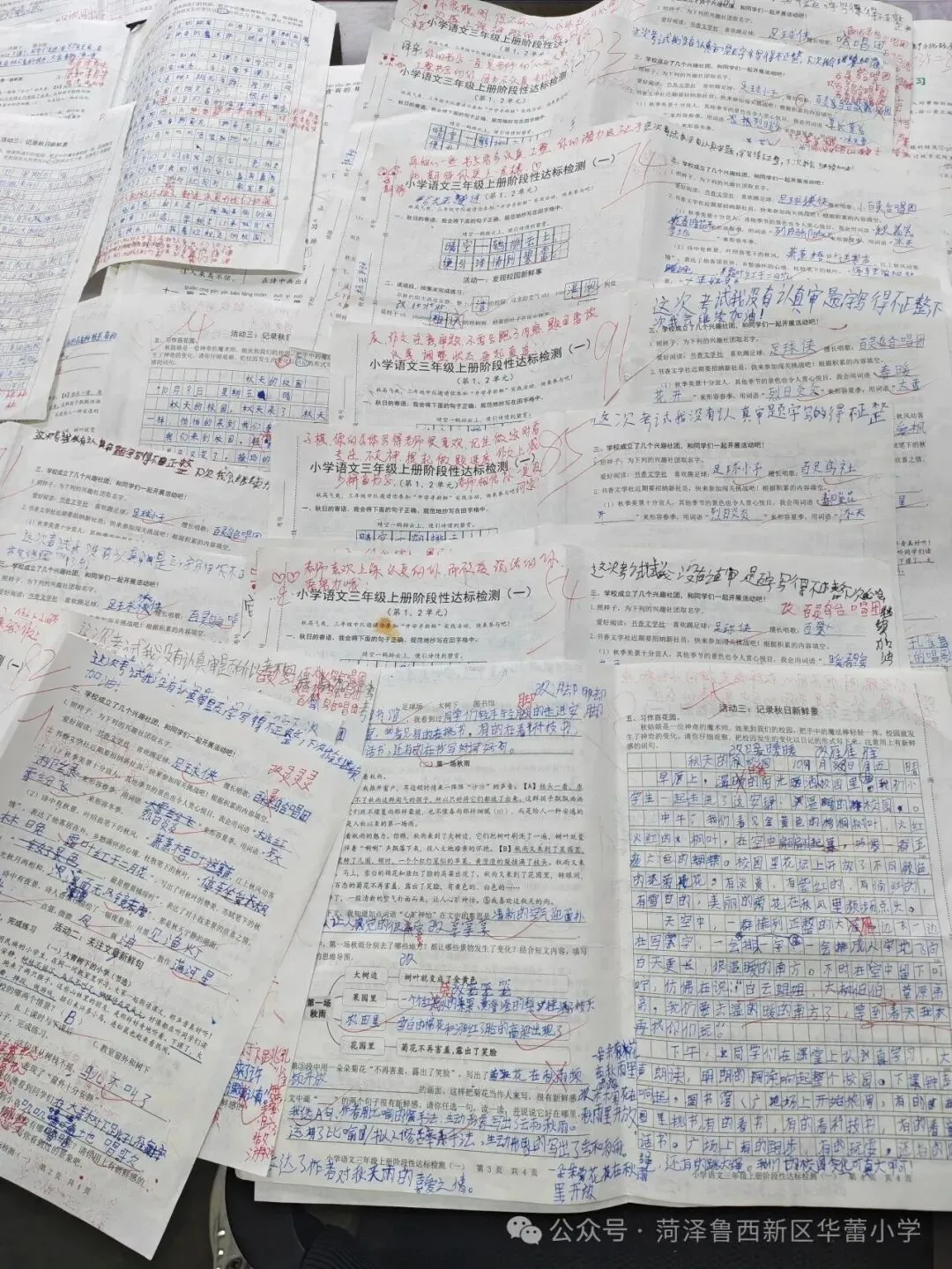 试卷上的专属勋章——华蕾小学精细化批改-第38张图片-四季读书网 试卷上的专属勋章——华蕾小学精细化批改-第38张图片-四季读书网