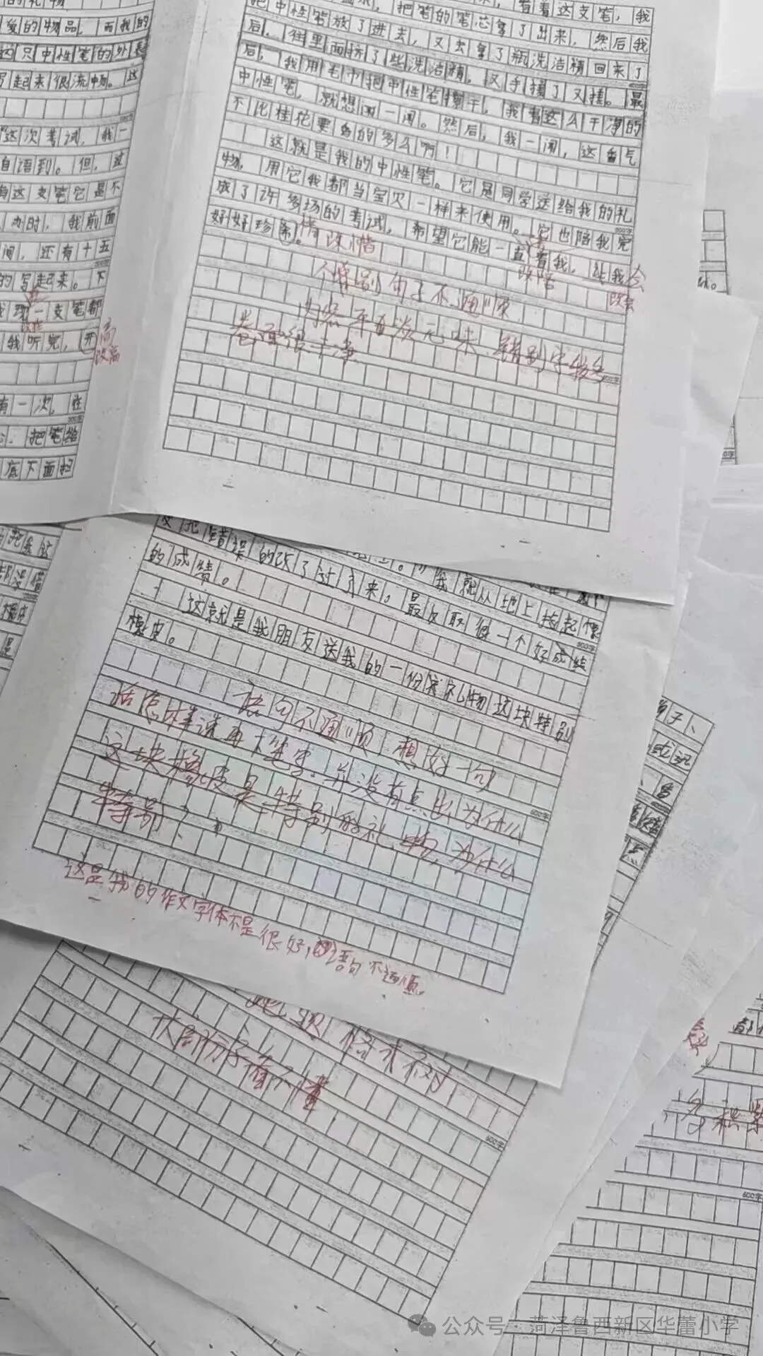 试卷上的专属勋章——华蕾小学精细化批改-第47张图片-四季读书网 试卷上的专属勋章——华蕾小学精细化批改-第47张图片-四季读书网