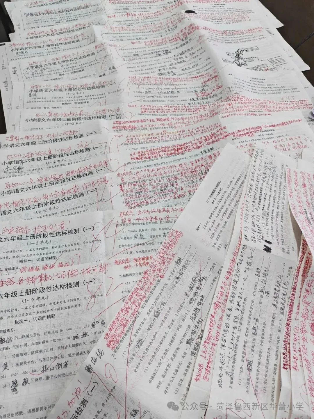 试卷上的专属勋章——华蕾小学精细化批改-第50张图片-四季读书网 试卷上的专属勋章——华蕾小学精细化批改-第50张图片-四季读书网