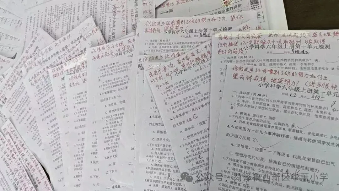 试卷上的专属勋章——华蕾小学精细化批改-第53张图片-四季读书网 试卷上的专属勋章——华蕾小学精细化批改-第53张图片-四季读书网