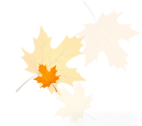 试卷上的专属勋章——华蕾小学精细化批改-第60张图片-四季读书网 试卷上的专属勋章——华蕾小学精细化批改-第60张图片-四季读书网