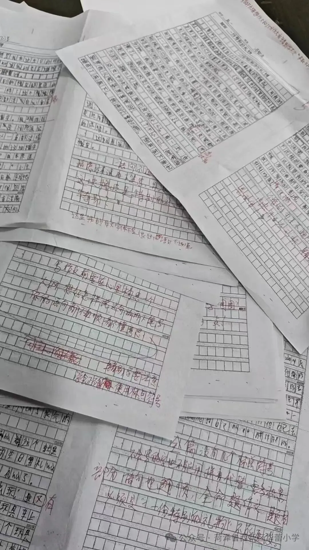 试卷上的专属勋章——华蕾小学精细化批改-第78张图片-四季读书网 试卷上的专属勋章——华蕾小学精细化批改-第78张图片-四季读书网