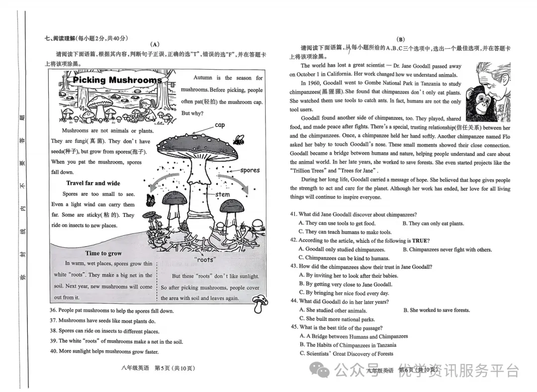 【初二必看】25-26太原期中卷(统考)-第11张图片-四季读书网