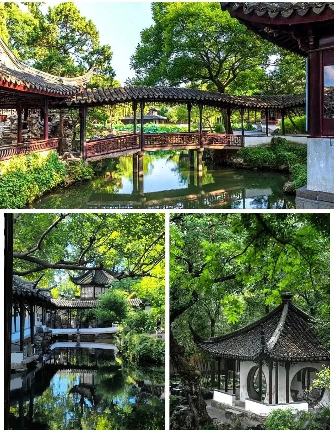 初一/初四出发,四天三晚连住苏州太湖边凯莎酒店,享45㎡超大客房,升级棋牌标间!3早6正餐!699元/人!免费泳池免费K歌!-第4张图片-四季读书网 初一/初四出发,四天三晚连住苏州太湖边凯莎酒店,享45㎡超大客房,升级棋牌标间!3早6正餐!699元/人!免费泳池免费K歌!-第4张图片-四季读书网