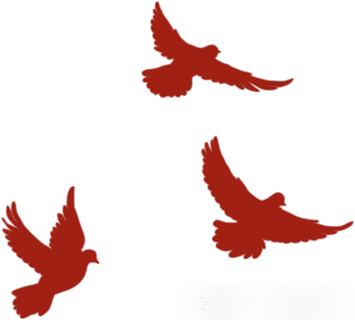 高职高考(3 + 证书)报名注册通道已全开|注册 + 相片采集全流程指南,一步不错过!!-第37张图片-四季读书网 高职高考(3 + 证书)报名注册通道已全开|注册 + 相片采集全流程指南,一步不错过!!-第37张图片-四季读书网