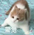 春季高考400分,算什么水平?-第5张图片-四季读书网 春季高考400分,算什么水平?-第5张图片-四季读书网