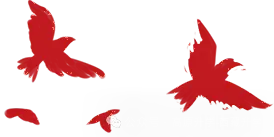 学籍号、学校名称、户籍迁入原因,西藏高考报名这几栏最容易填错-第7张图片-四季读书网