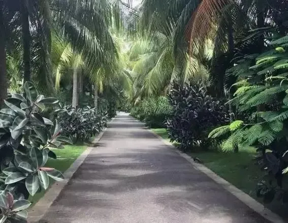 园林绿化工(园林植物全年养护管理方案)模拟考试试题库学习-第16张图片-四季读书网
