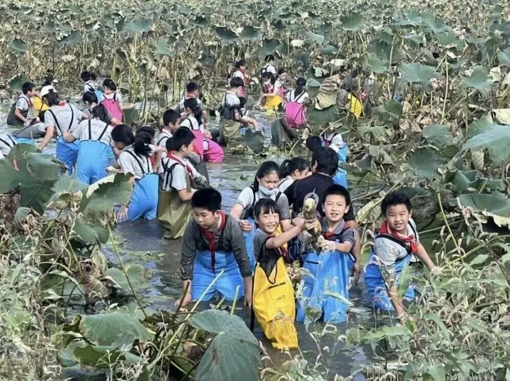 上海也要取消中考了?上海一区正式官宣:试点高中登记入学-第6张图片-四季读书网 上海也要取消中考了?上海一区正式官宣:试点高中登记入学-第6张图片-四季读书网