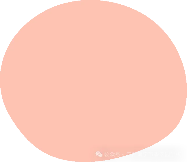 专家引领促教研  分层施策备中考——南宁市碧翠园学校2026年秋季初中数学专家入校指导活动-第8张图片-四季读书网
