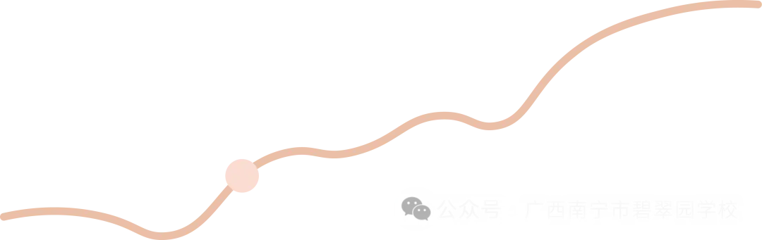 专家引领促教研  分层施策备中考——南宁市碧翠园学校2026年秋季初中数学专家入校指导活动-第11张图片-四季读书网