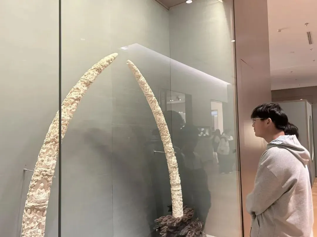 探秘科技之美,品读姑苏文脉——我校初三学子苏州科技馆、苏博西馆研学之旅-第44张图片-四季读书网 探秘科技之美,品读姑苏文脉——我校初三学子苏州科技馆、苏博西馆研学之旅-第44张图片-四季读书网