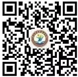 探秘科技之美,品读姑苏文脉——我校初三学子苏州科技馆、苏博西馆研学之旅-第52张图片-四季读书网 探秘科技之美,品读姑苏文脉——我校初三学子苏州科技馆、苏博西馆研学之旅-第52张图片-四季读书网
