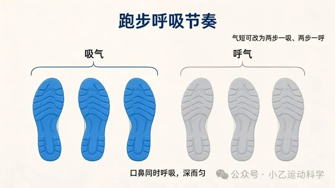中考体育1000米/800米提分(一):跑两三百米就喘、腿像灌了铅?先把呼吸和跑姿立住,后面才省力-第1张图片-四季读书网 中考体育1000米/800米提分(一):跑两三百米就喘、腿像灌了铅?先把呼吸和跑姿立住,后面才省力-第1张图片-四季读书网