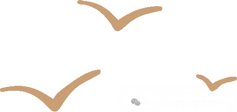 天津高考完型再送1.5分——完型技巧2-第9张图片-四季读书网 天津高考完型再送1.5分——完型技巧2-第9张图片-四季读书网