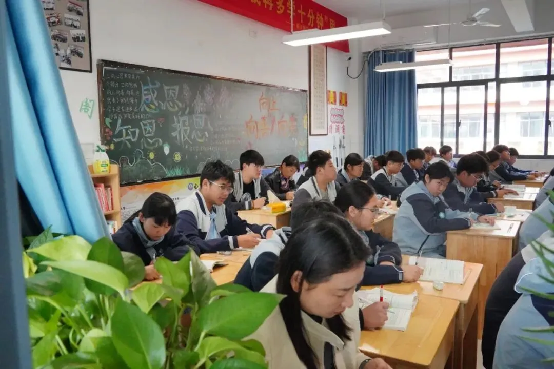 专业督导促深耕 精准赋能备中考||新沂海中附校迎接九年级教育教学专项督导-第33张图片-四季读书网