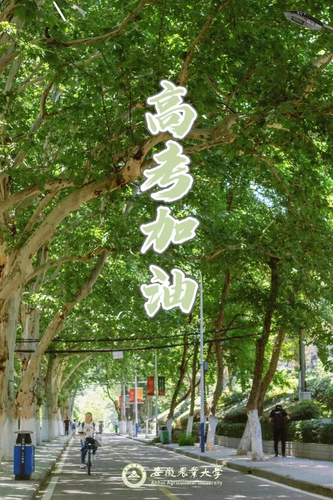 我们在这里等你 | 安徽34所高校为高考考生加油鼓劲!乘风破浪!未来可期!-第11张图片-四季读书网 我们在这里等你 | 安徽34所高校为高考考生加油鼓劲!乘风破浪!未来可期!-第11张图片-四季读书网