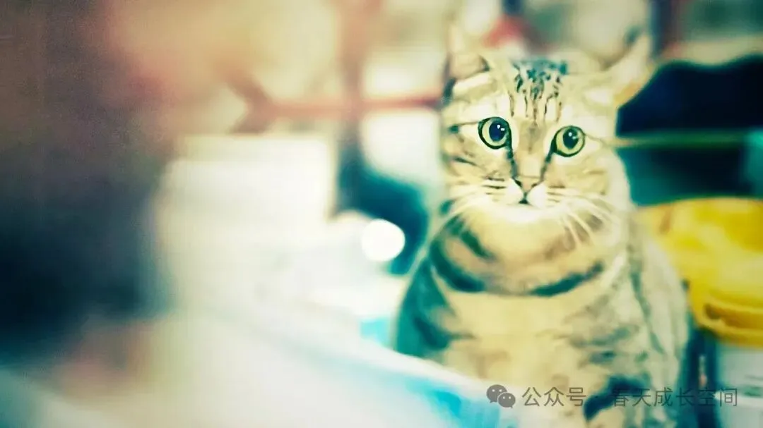 还有一周期中考,你真正该怕的不是孩子考差,而是他已经不在乎了-第1张图片-四季读书网 还有一周期中考,你真正该怕的不是孩子考差,而是他已经不在乎了-第1张图片-四季读书网
