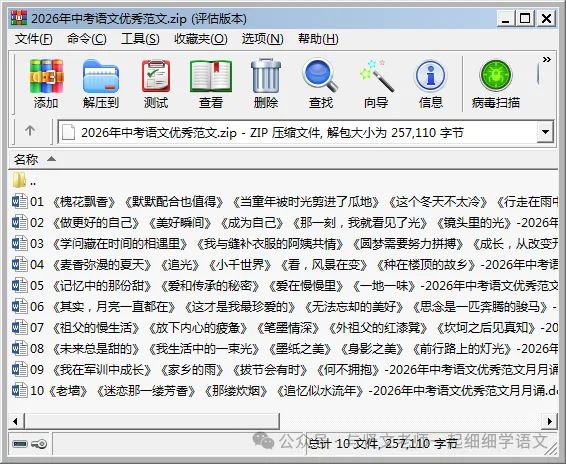 2026年中考语文优秀范文01《槐花飘香》《默默配合也值得》《当童年被时光剪进了瓜地》《这个冬天不太冷》《行走在雨中》以“回忆”为话题-第4张图片-四季读书网